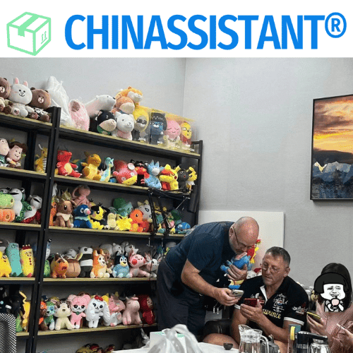 China assistant providing comprehensive project support