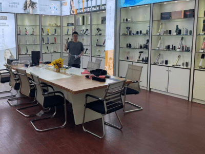 Shopify Dropshipping Case Study